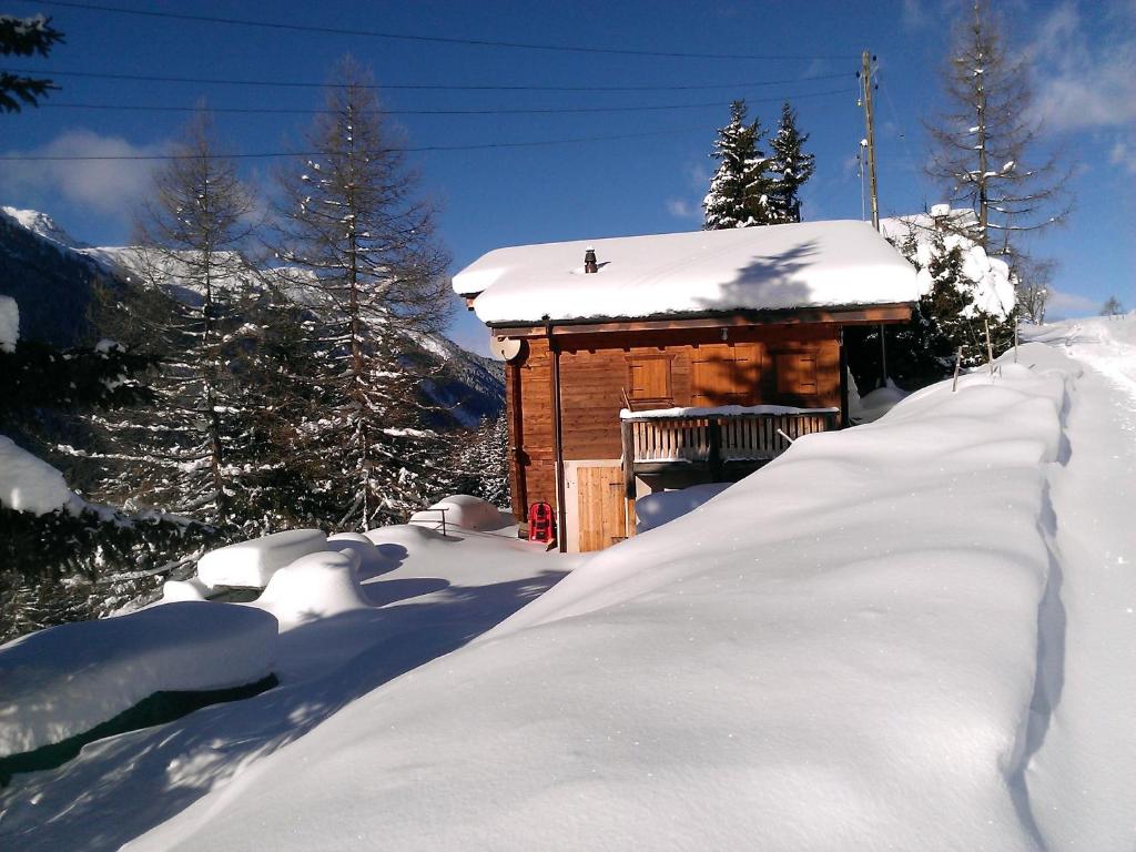 HérémenceChalet Edelweiss的覆盖着雪的树木的小木屋