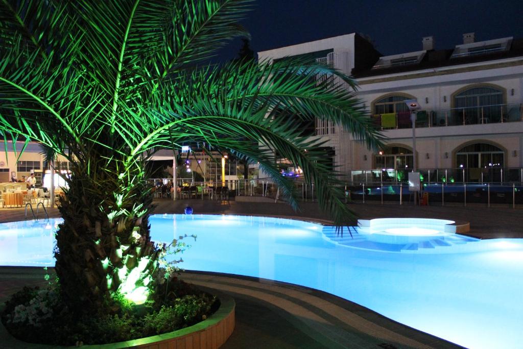 马尔马里斯Forum Residence Hotel的游泳池前的棕榈树