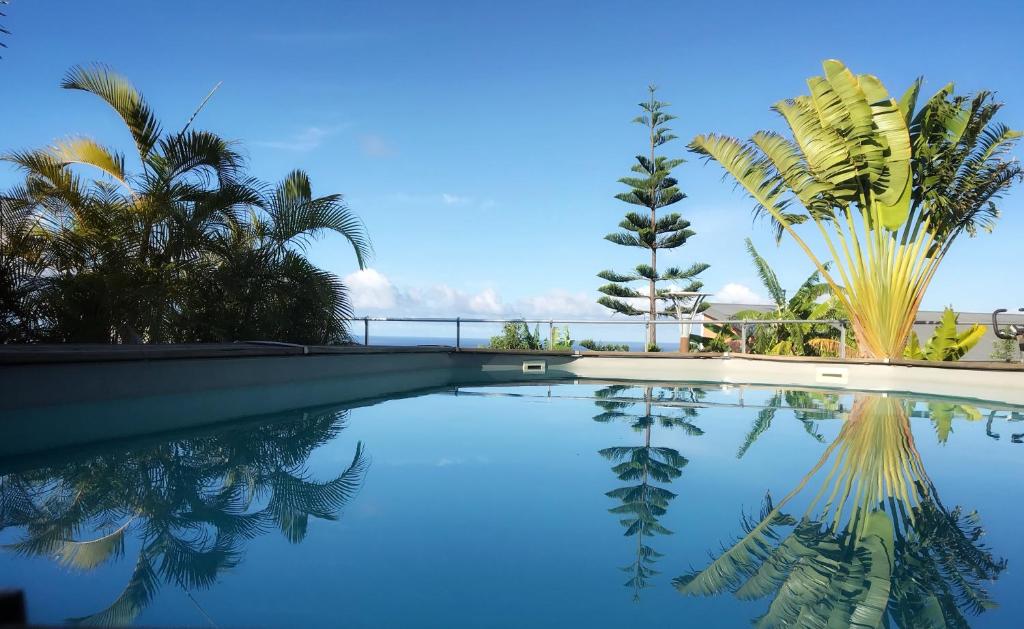 圣勒Villa Moai 974的一座棕榈树和蓝天游泳池