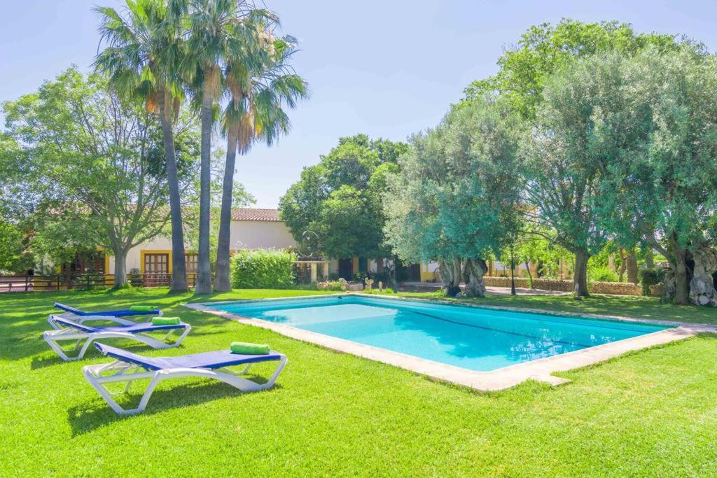 马略卡岛帕尔马Agroturismo Finca Son Amora的庭院内的游泳池,配有躺椅和树木