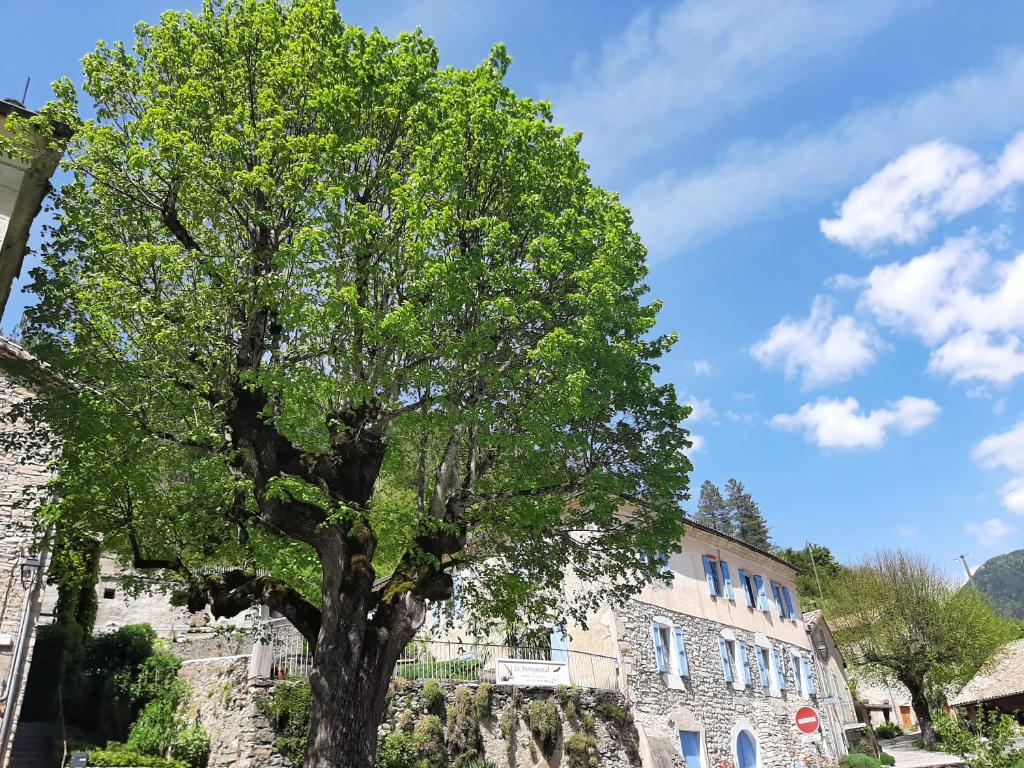 米讷萨艾芒酒店的大楼前的一棵大树