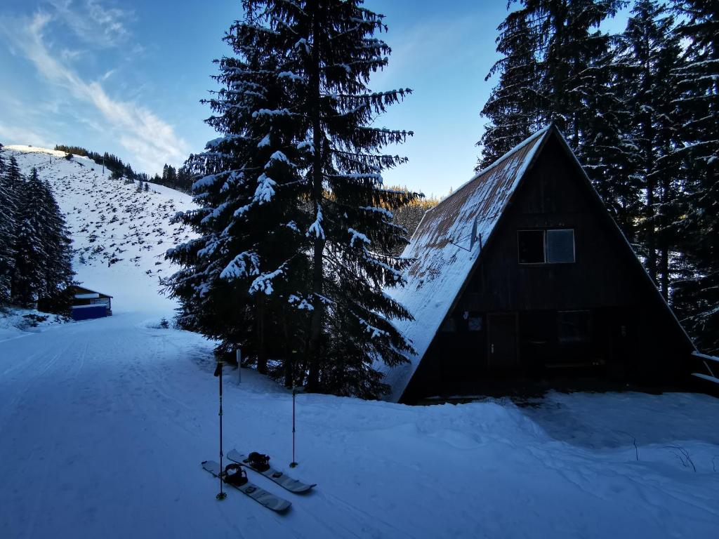 迪马诺卡多林纳Chata pod májovou muldou的树旁的雪地小屋