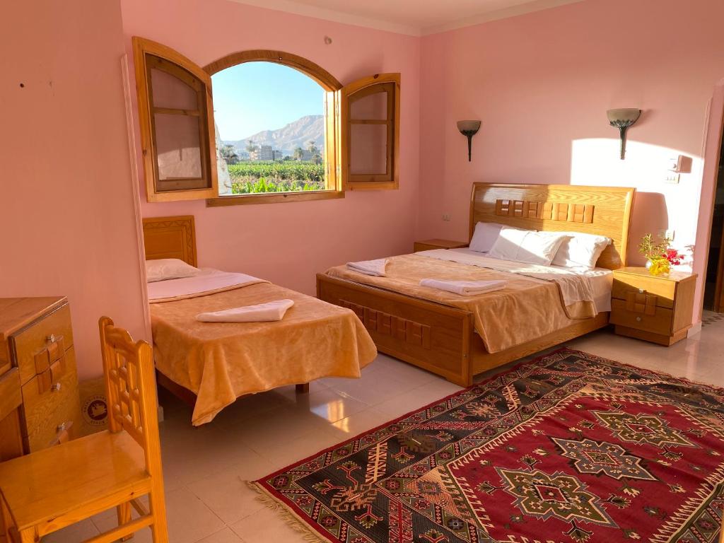 卢克索Elsanosy Family Guest House - Luxor的一间卧室设有两张床、一个窗户和一个地毯。