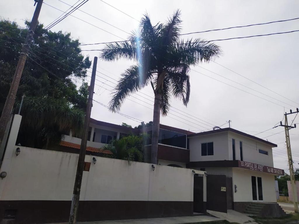 巴耶斯城Portal de José的房屋前的棕榈树