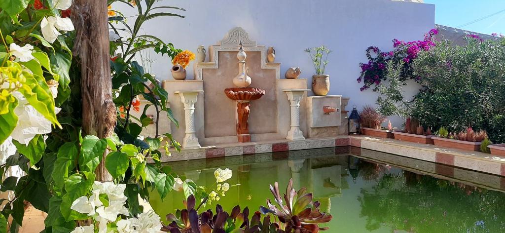 米多恩Djerbahouch的花园中的一个池塘,花园内有喷泉和鲜花