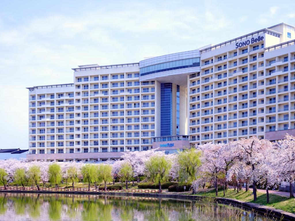 庆州Sono Belle Gyeongju的河前有樱树的酒店