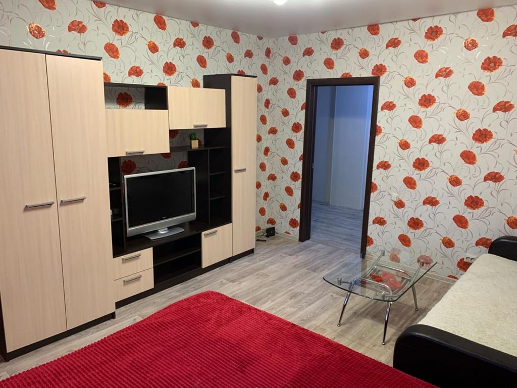 Уютная квартира на Захарова的电视和/或娱乐中心