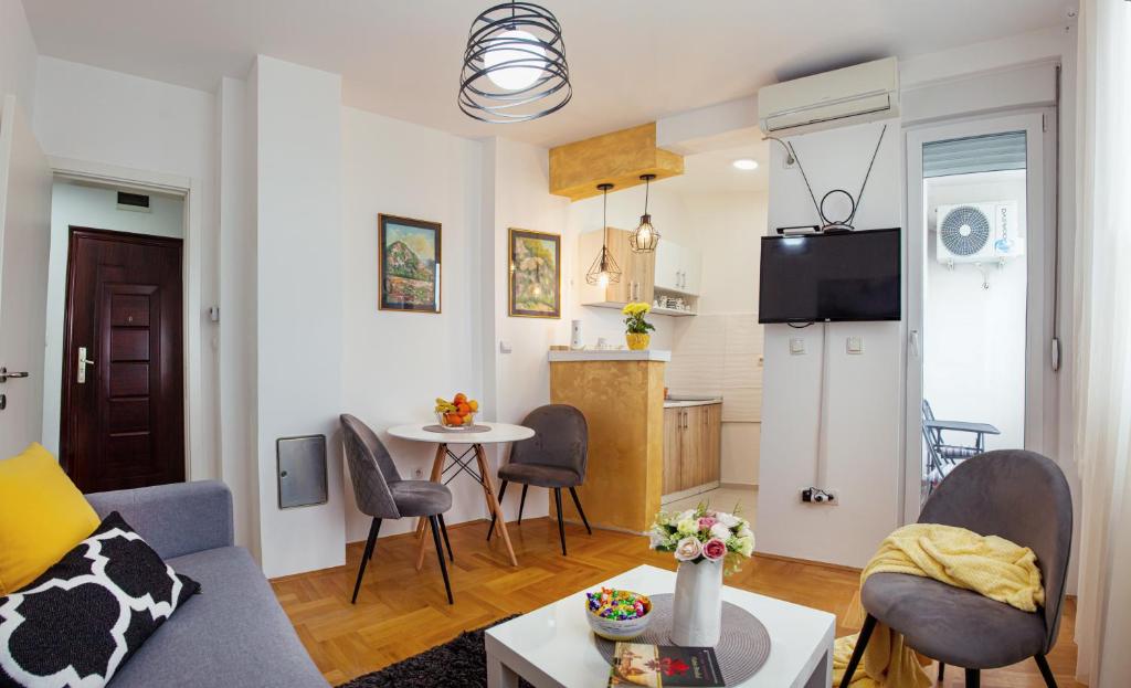 斯雷姆斯卡米特罗维察Apartman Mia的客厅配有沙发和桌子