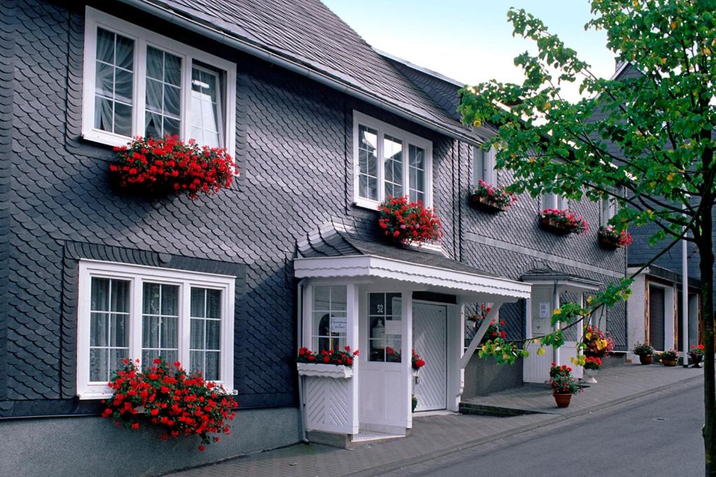 马瑟尔贝格Panoramaferienwohnung Bergwiese的蓝色房子,窗户上有红色的鲜花
