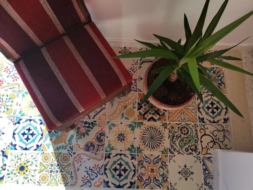 西迪·布·赛义德BEL APPART A SiDi BOUSAID的坐在桌子上的一个盆栽植物