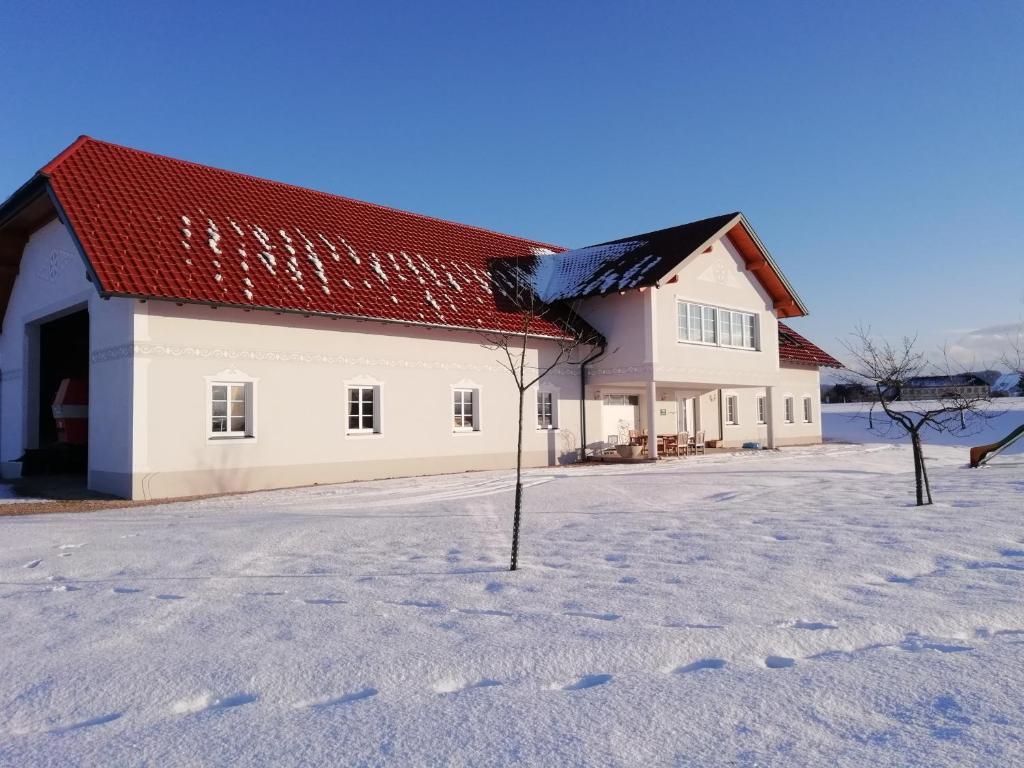 FerschnitzLandhaus Schaidreith的雪上有红色屋顶的白色建筑
