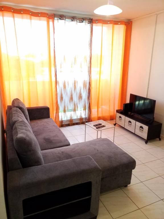 萨莱比梅Appartement Centre Guadeloupe, accessible et proche的带沙发和电视的客厅