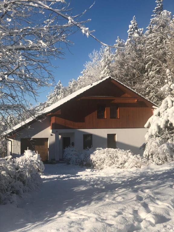伏尔塔瓦河畔利普诺Villapark apartments 201, Lipno的雪中小屋,有雪覆盖的树木