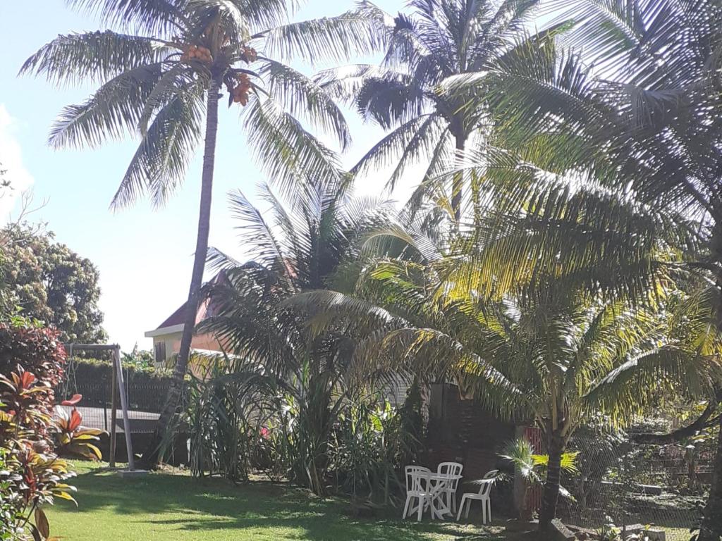 珀蒂堡Bas de villa Aka Cecette的一个带棕榈树和白色桌椅的庭院