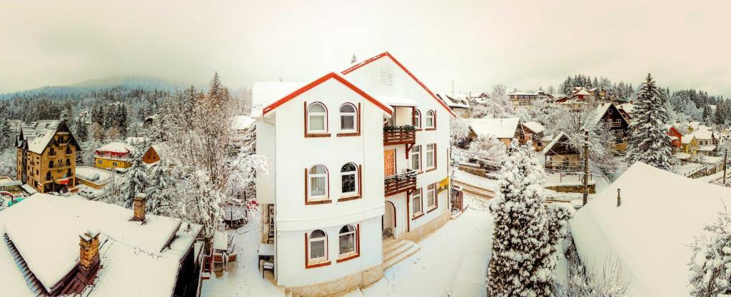 锡纳亚Pensiunea Nicolas的一座满是雪的小镇,有房子和树木