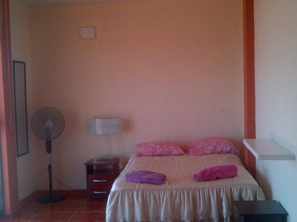 La BocanaCabana con Vista al Mar的一间卧室配有一张带两个枕头的床