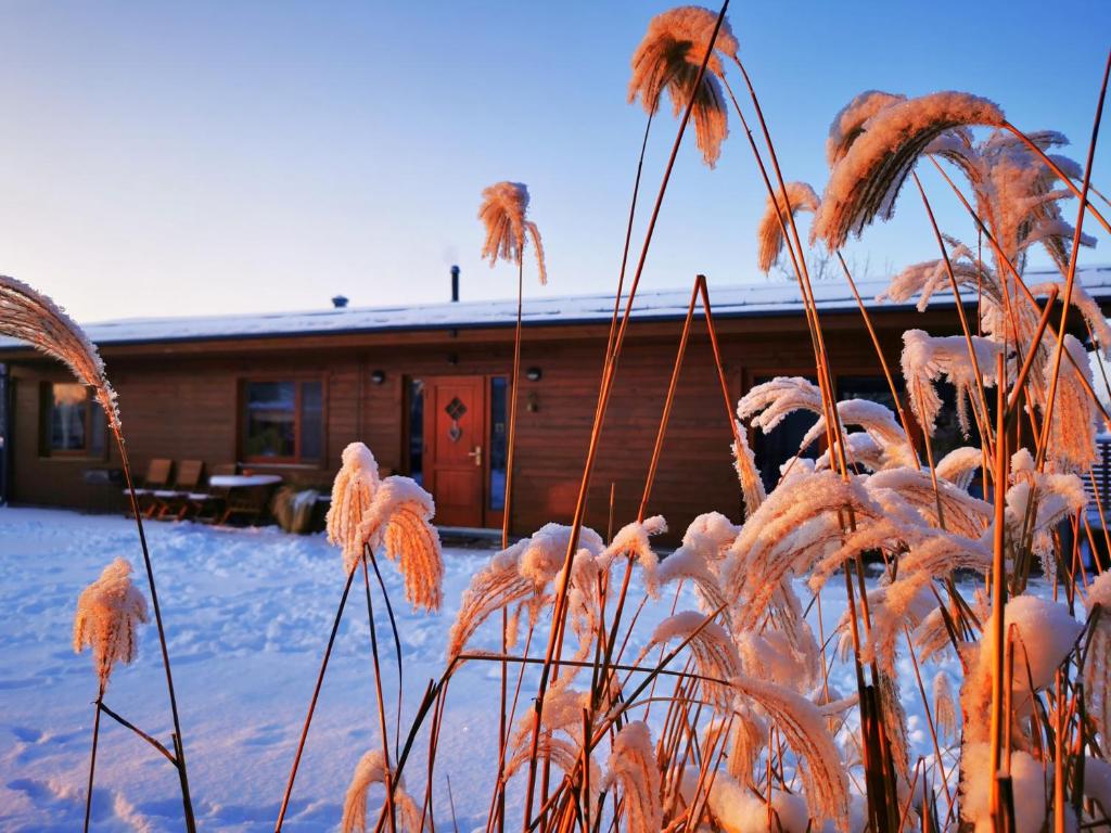 阿达兹尚斯图里森酒店的冬季的小屋,地面上下雪