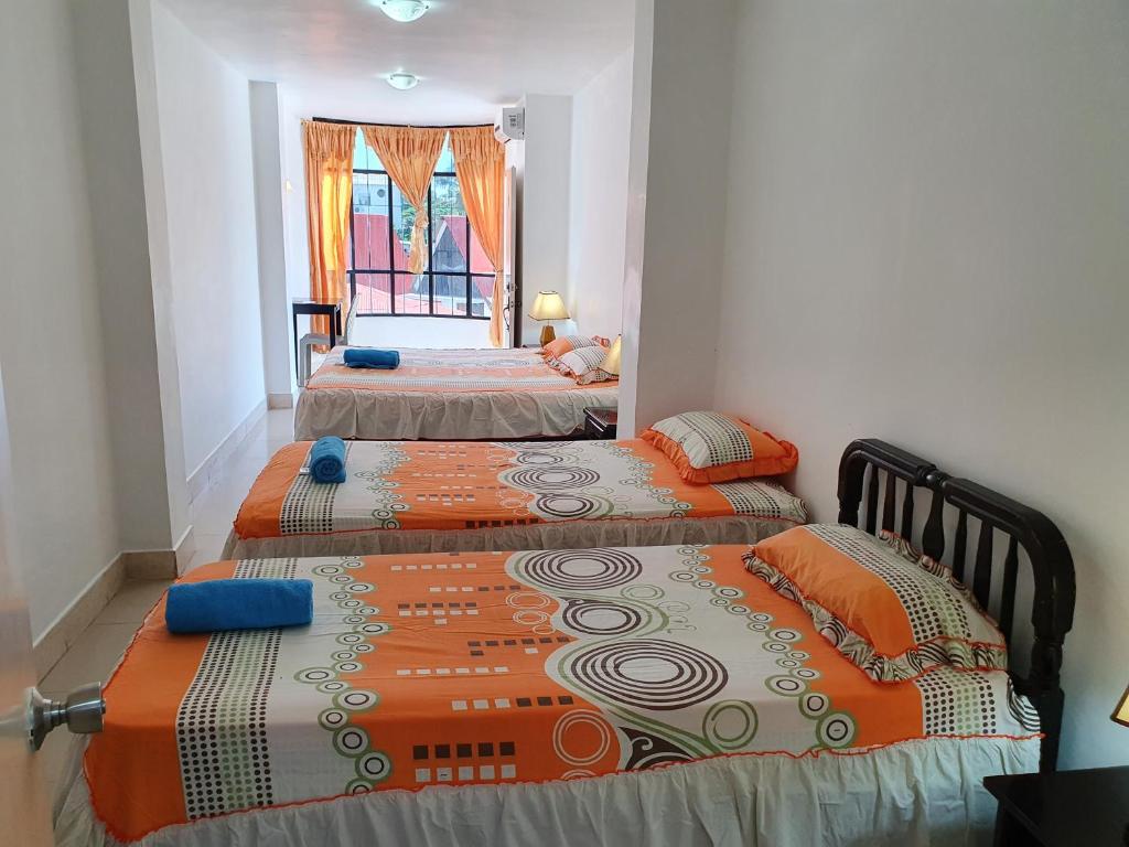 比亚米尔港塞罗阿苏尔旅馆的一间卧室设有两张床和窗户。
