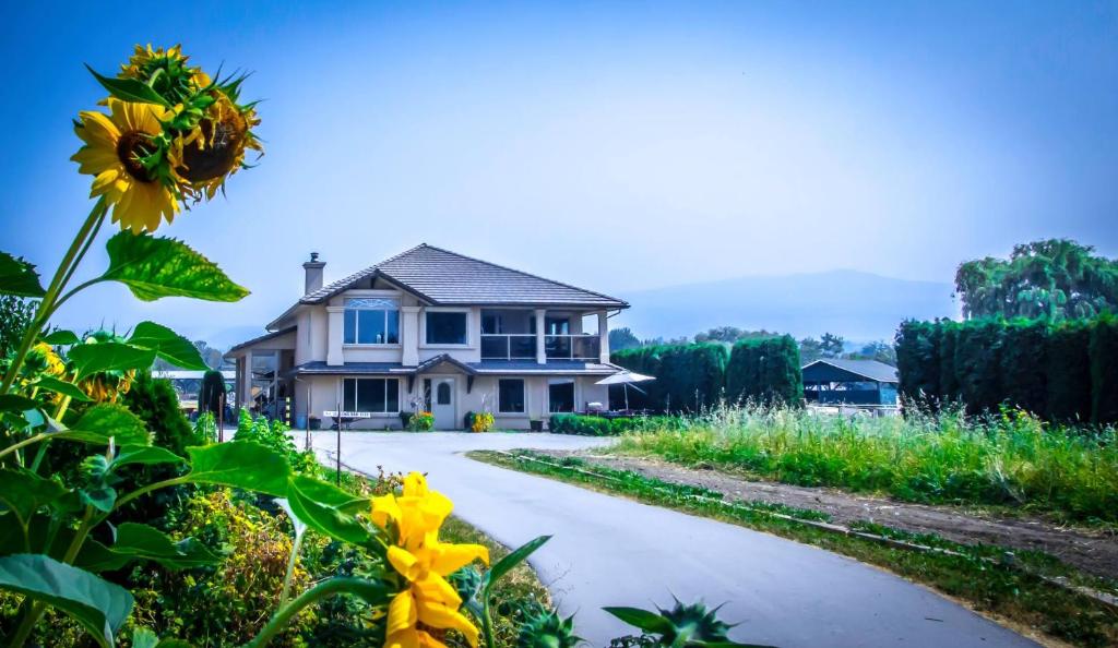 基洛纳四季住宿加早餐旅馆的车道前有黄色花房