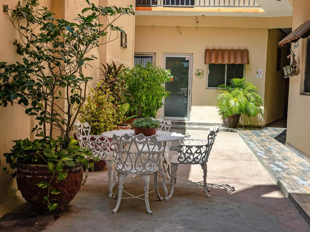 卡波圣卢卡斯OYO Hotel Cabo Del Sur, Cabo San Lucas的庭院里种有盆栽植物,配有桌椅