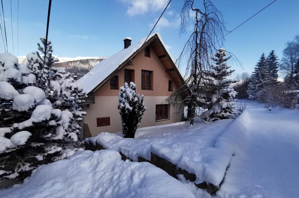 特尔乔夫Chata Podolina的一座房子被雪覆盖,树丛和灌木丛覆盖着