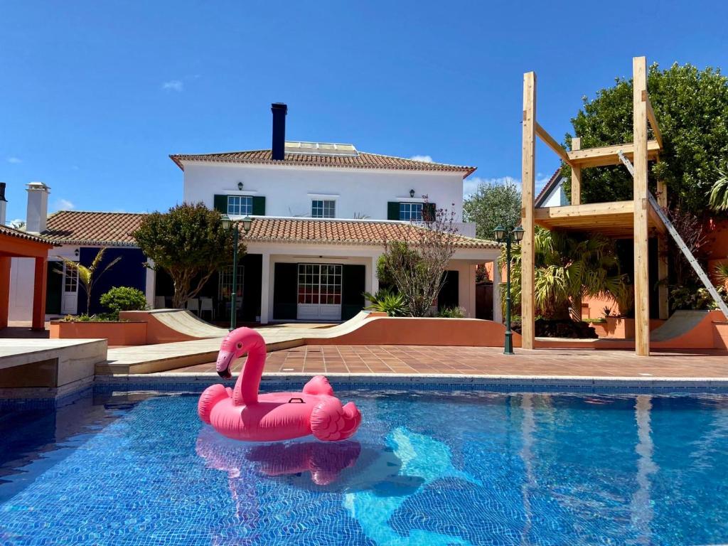 蓬塔德尔加达Salt Lips Surf & Coworking Azores的两只粉红色火烈鸟,在房子前面的游泳池里