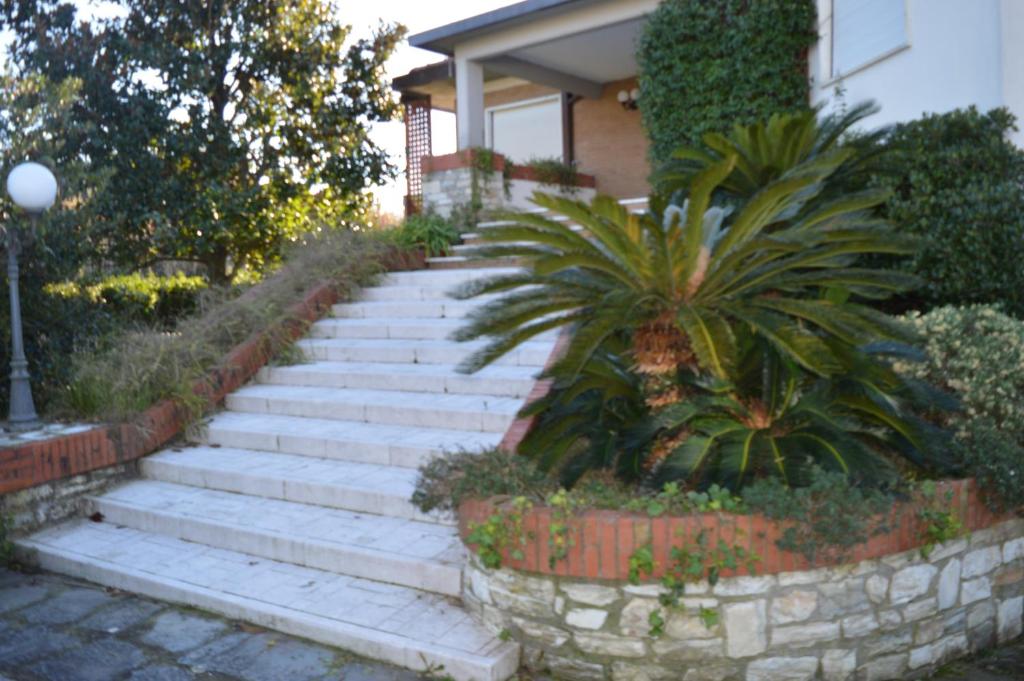 马瑞纳迪卡拉拉B&B Tra Mare e Marmo的房屋前的楼梯