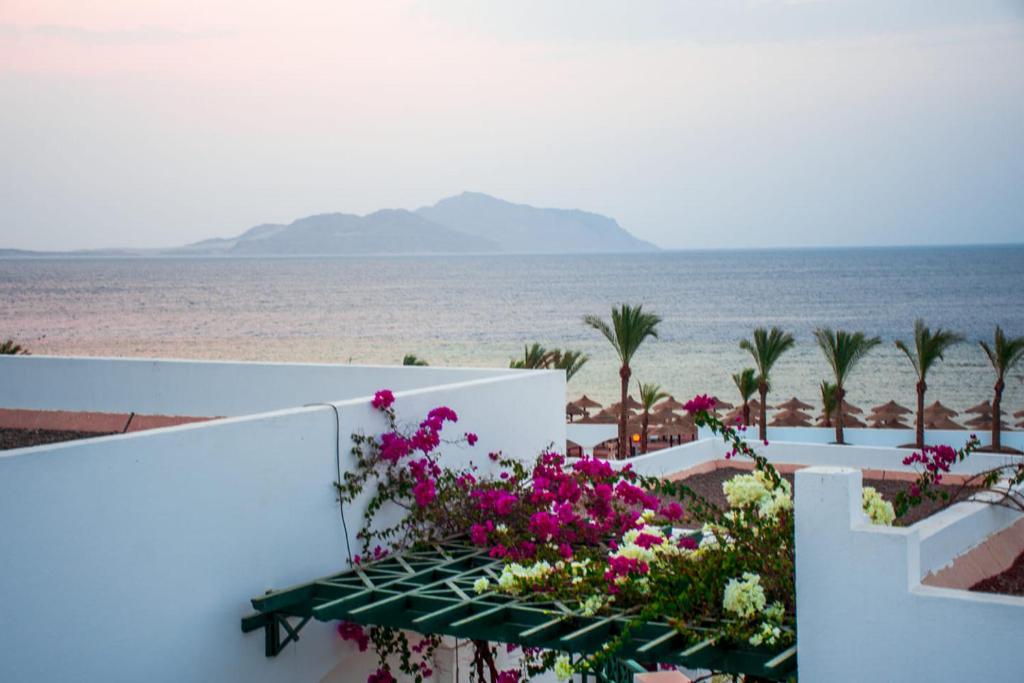 沙姆沙伊赫Coral Beach Resort Montazah (Ex. Rotana)的鲜花阳台享有海滩美景