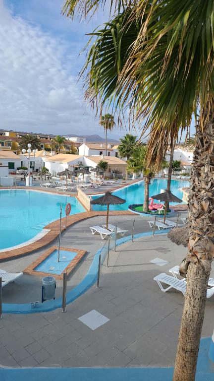 卡勒达德福斯特Appartamento Rosy Puerta del Sol的一个带椅子和棕榈树的大型游泳池