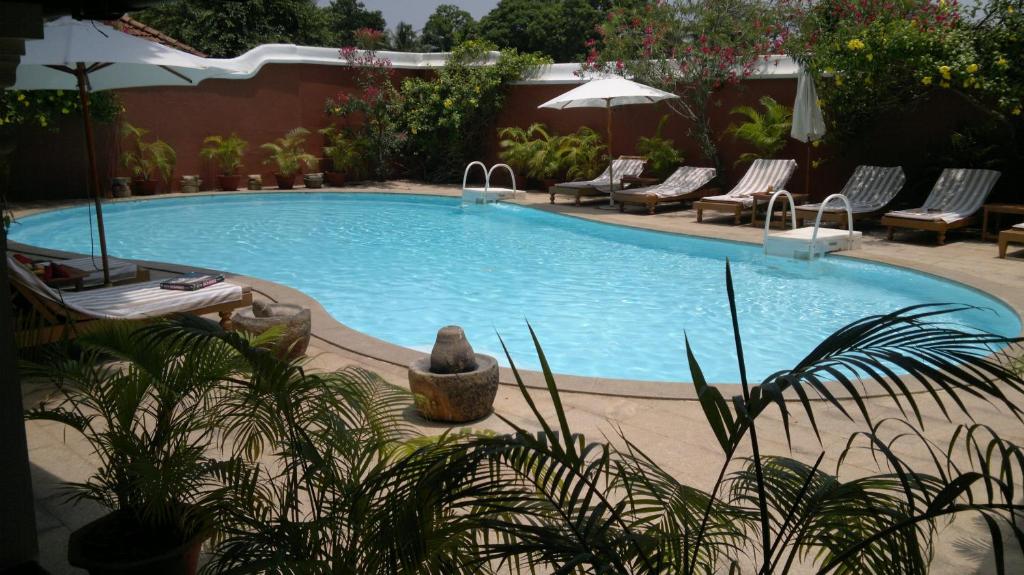 阿勒皮拉希姆住宿酒店的一个带躺椅和遮阳伞的大型游泳池