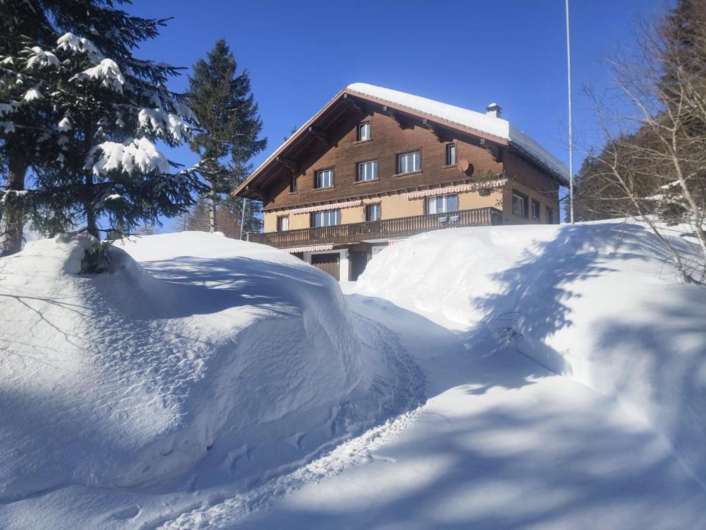 UrnäschSäntisecho - in der Natur zu Hause的房子前面的一堆雪