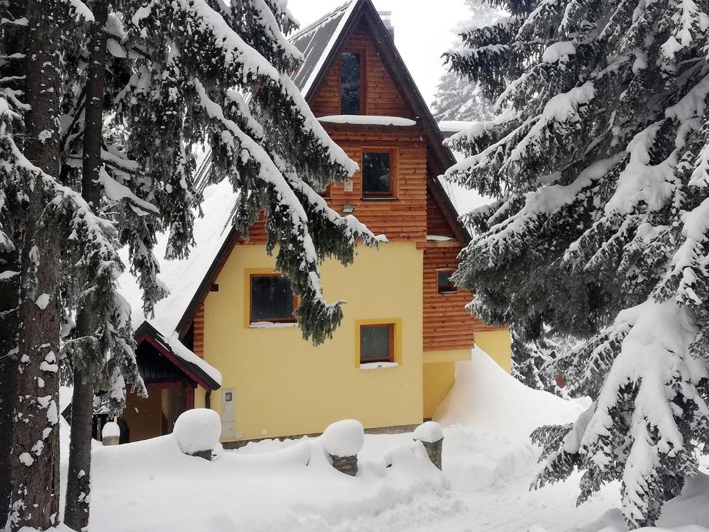 弗拉西克Villa Franka - Vlašić的雪地里的小木屋,有雪覆盖的树木