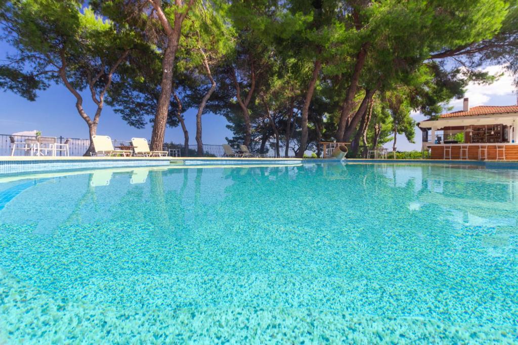 阿菲托斯Evripidis Hotel的一个种有树木的大型蓝色游泳池