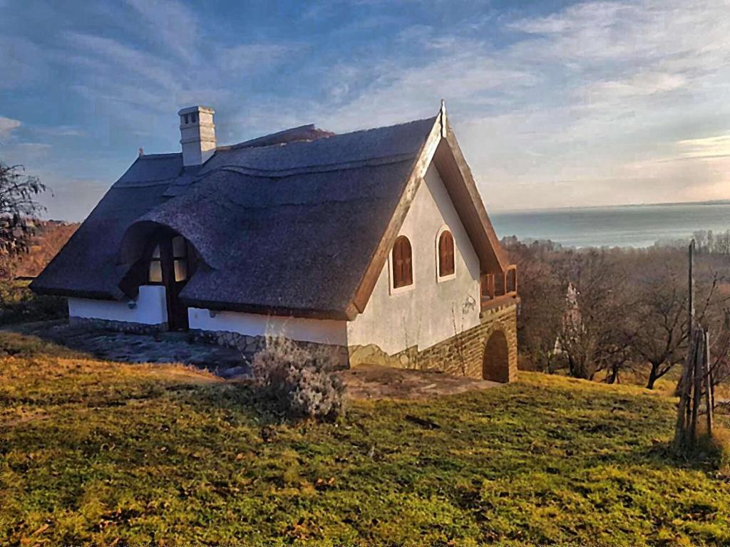 蒂豪尼Villa Kőrózsa Vendégház Tihany的草山顶上的一个小房子