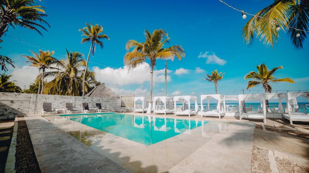 科韦尼亚斯Hotel Marbelo Coveñas的一个带椅子和棕榈树的度假游泳池
