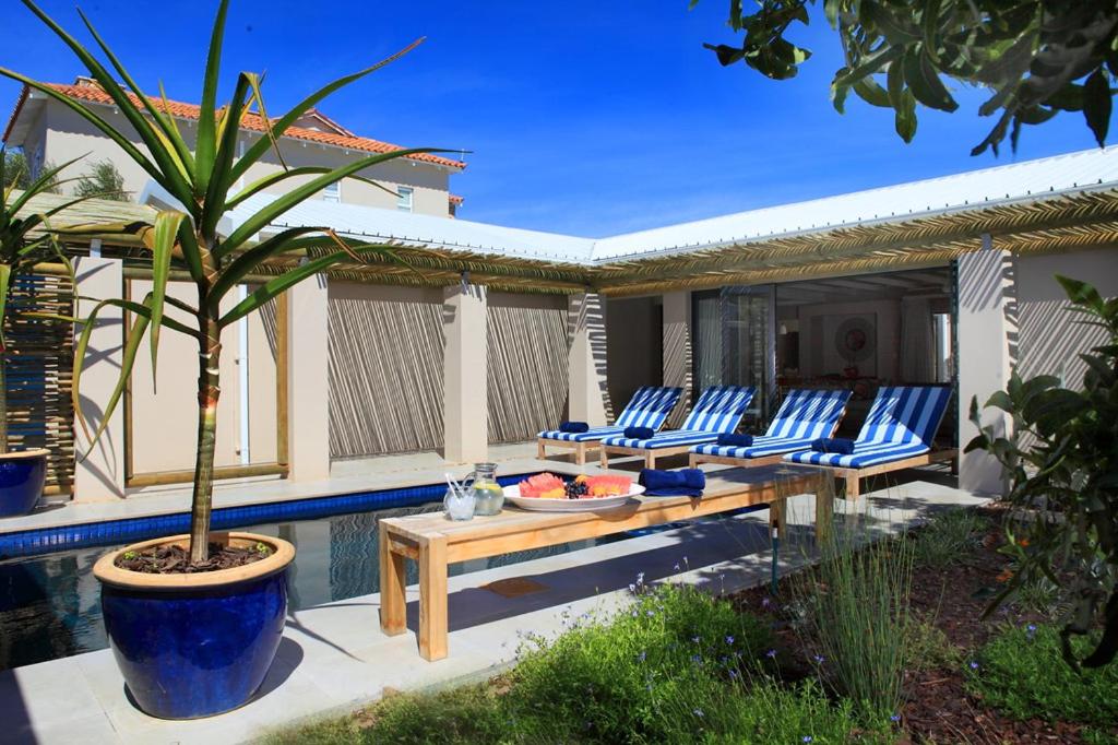 普利登堡湾Scallop Lodge的一个带椅子和棕榈树的庭院,毗邻游泳池