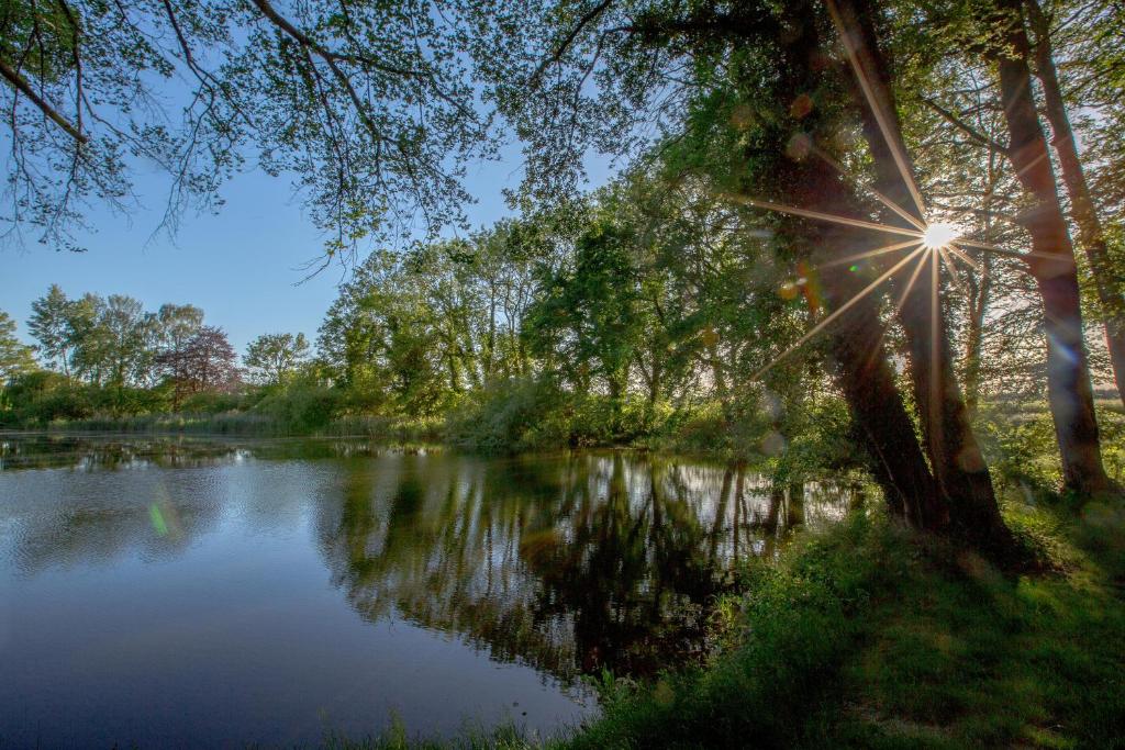 勒伯尔Matys Landhausperle an der Müritz的阳光反射在水面上的河流美景