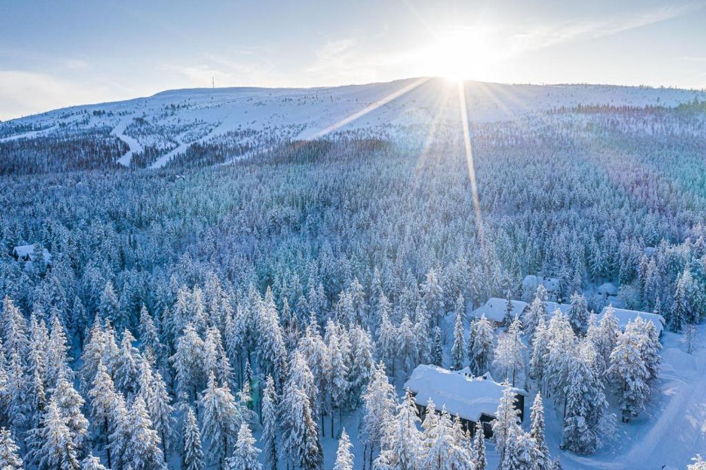 基蒂莱Rentorakka的享有雪覆盖的森林美景,阳光灿烂