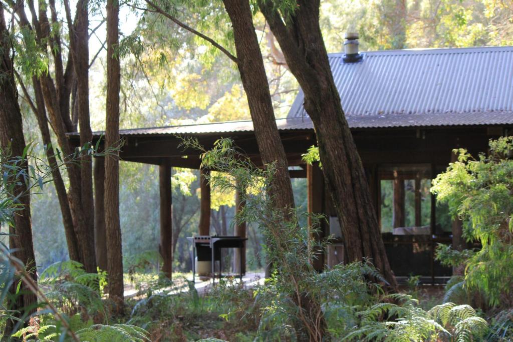 彭伯顿玛瑞玛别墅的树林里的木小屋
