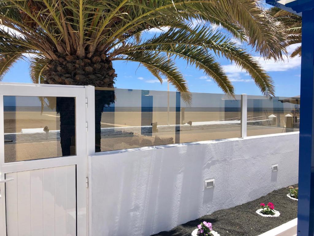 宏达海滩SEA FRONT Apartamento frente al mar的棕榈树在白色的围栏前,有棕榈树