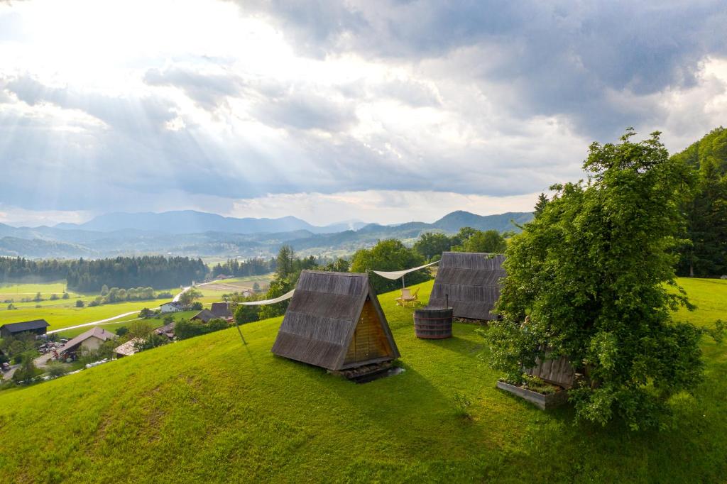 扎雷克Glamping - Ekološka kmetija Kozman的绿色山顶上的两座小屋