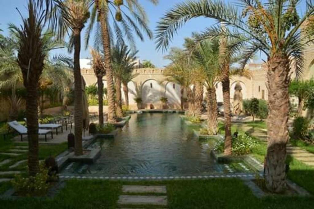 托泽尔Dar Tozeur的棕榈树庭院内的游泳池