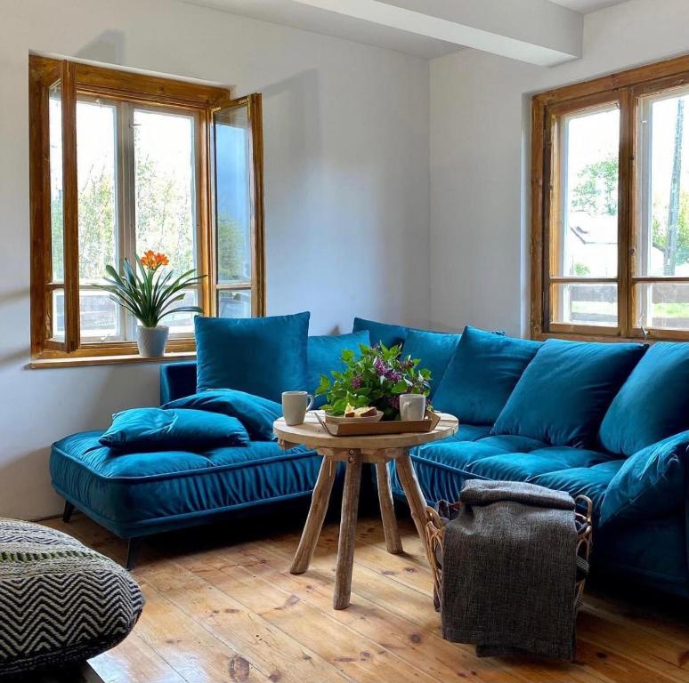 谢米亚蒂切Moje Podlasie - Dom w Siemichoczach的客厅配有蓝色的沙发和桌子