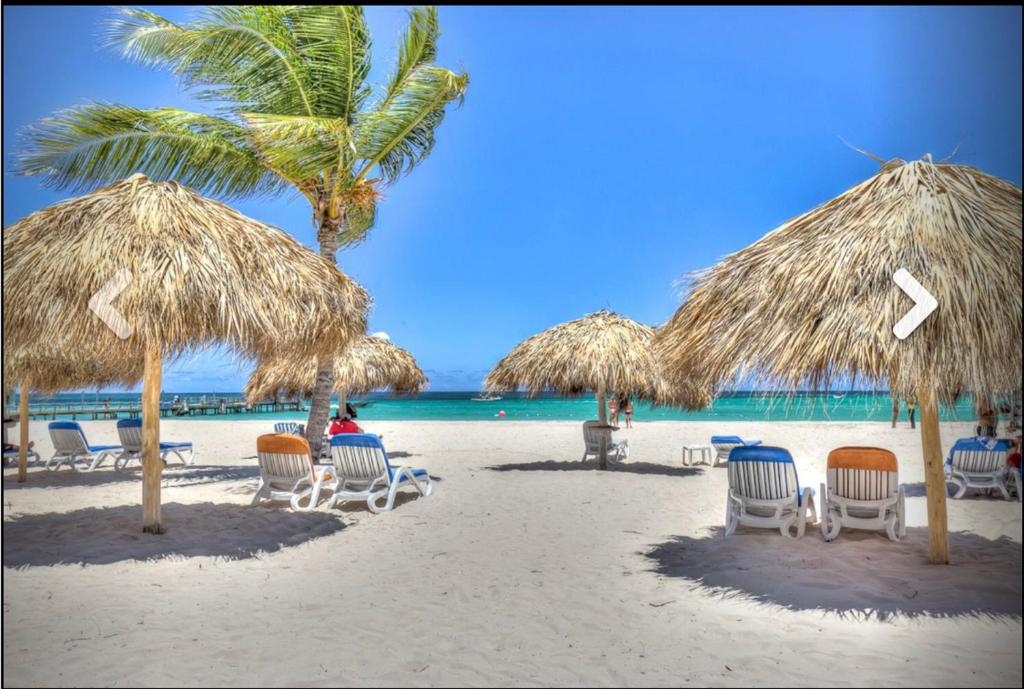 蓬塔卡纳Stanza Mare Beach Front的海滩上设有椅子和草伞,还有大海