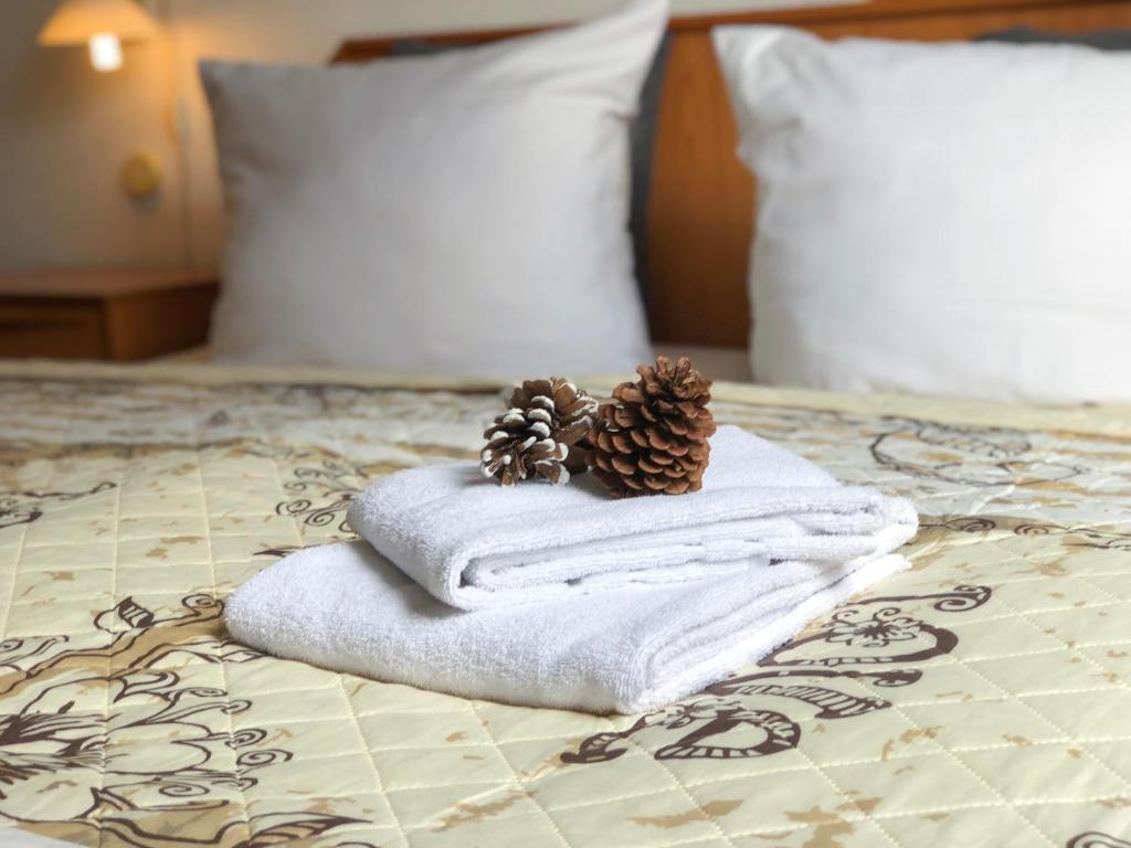 门兴格拉德巴赫Hotel Kaiser的床上有一堆毛巾和松锥