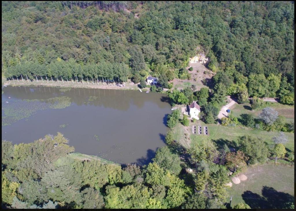 Panzoultbateau du moulin girault的享有湖泊的空中景致,拥有房屋和树木