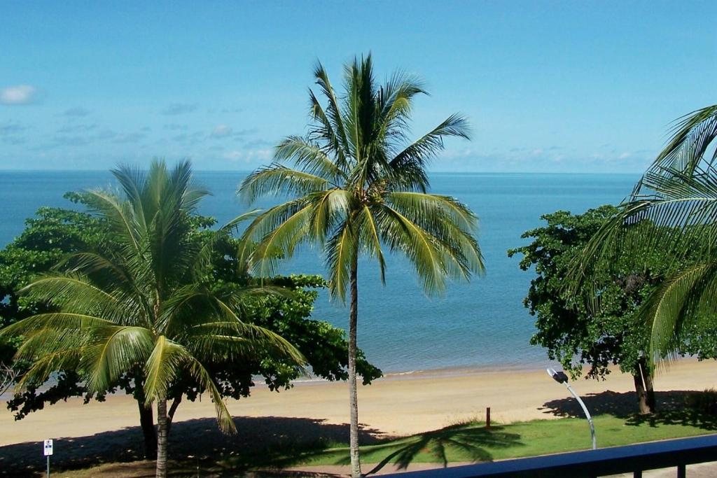 三一海滩三一海滩海滨公寓酒店的享有棕榈树海滩和大海的景色