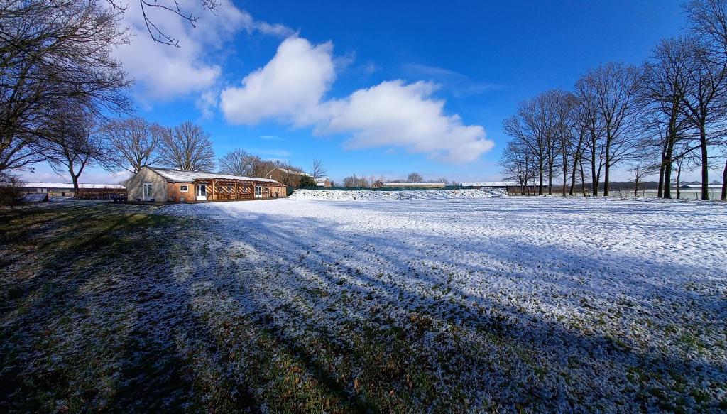 OirloDe Maplerik的一片雪覆盖的田野,远处有一所房子
