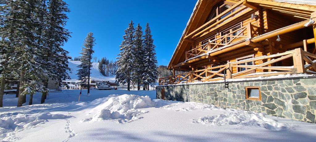 什特尔布斯凯普莱索High Tatras Chalet的雪地里的小木屋,积雪