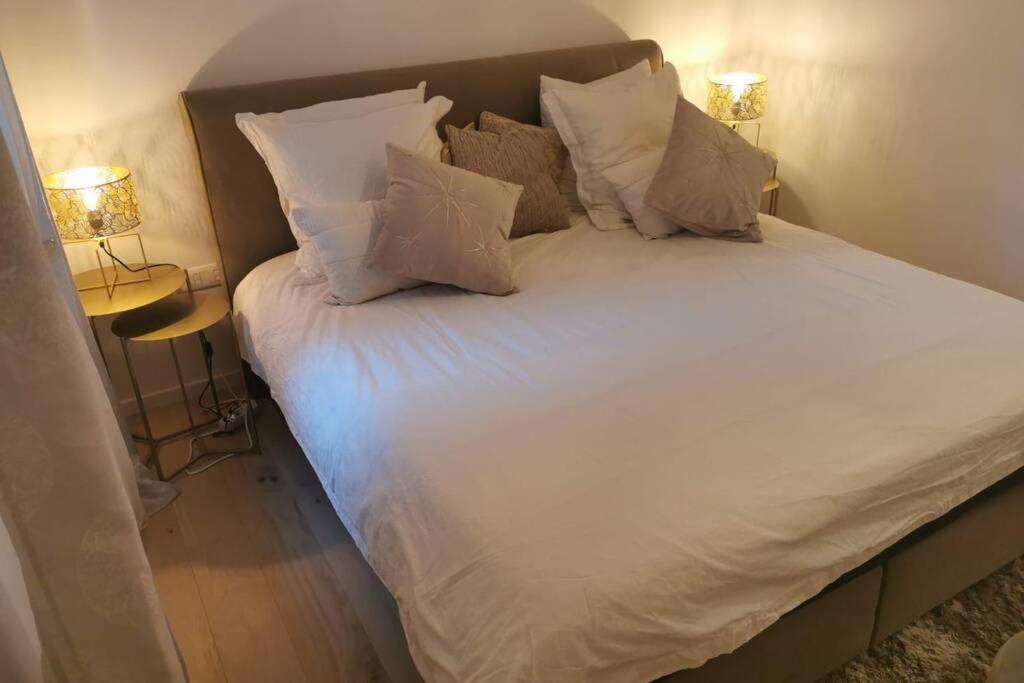 斯特拉斯堡Magnifique F3, 75m² avec Parking privé et Terrasse的一张配有白色床单和枕头的大床